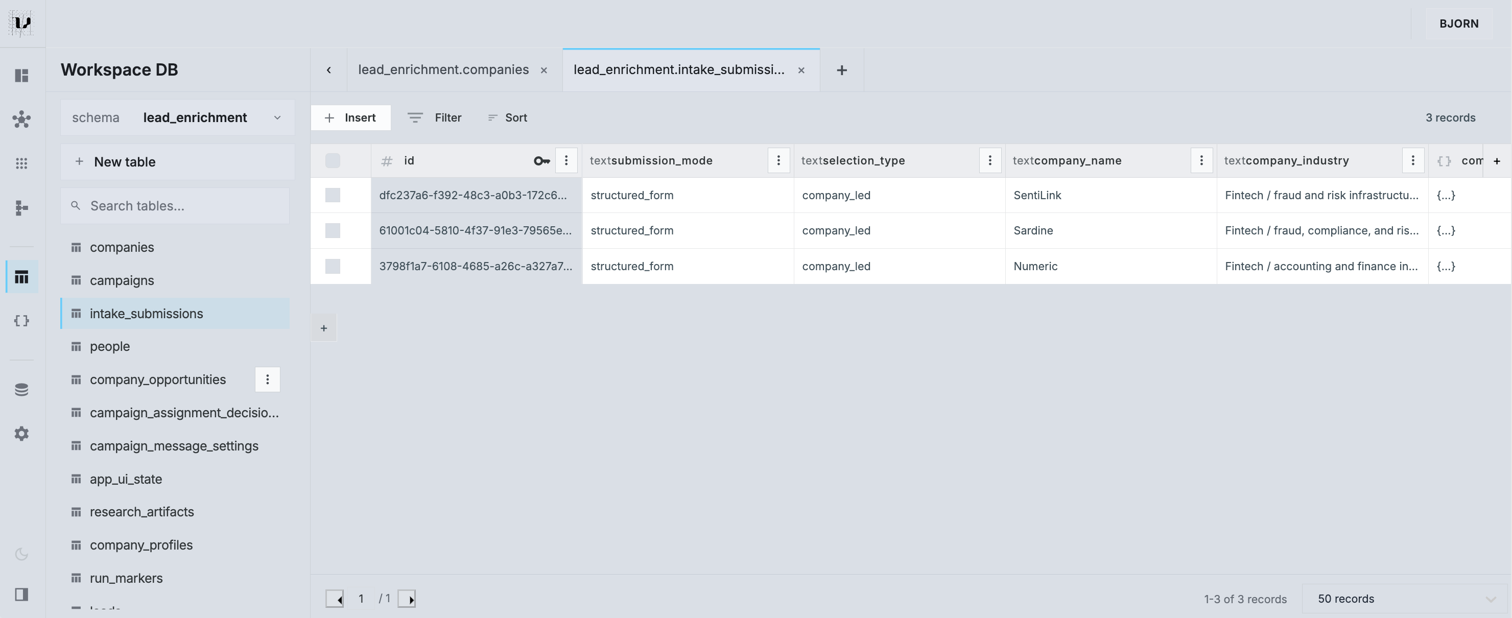Workspace DB view showing lead enrichment tables and structured intake submission records inside the managed data model.